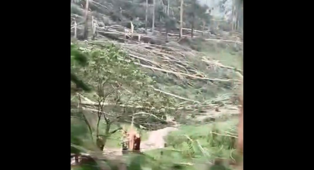 V Deo Passagem De Tornado No Oeste Catarinense Confirmada Pela