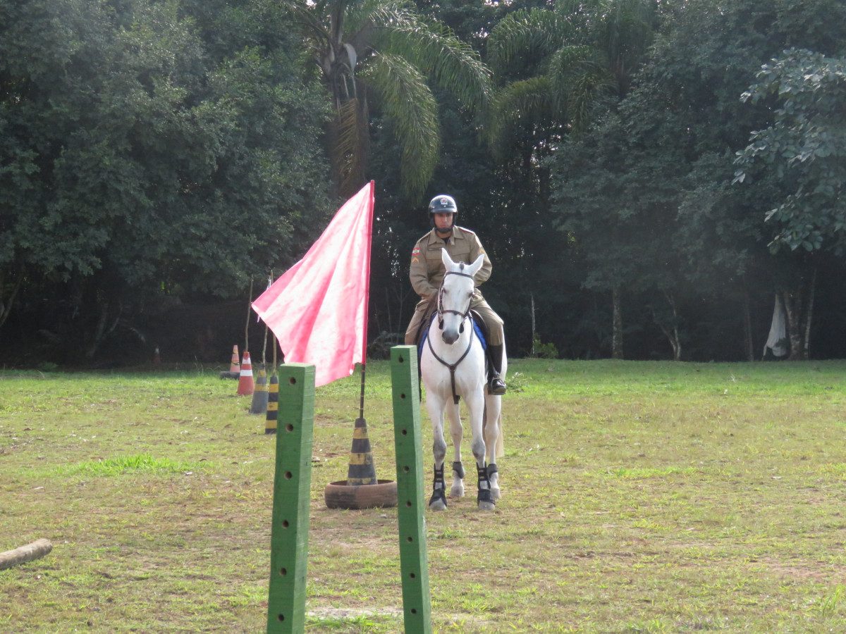 Cavalaria da PM inaugura pista Centauro de Maneabilidade a Cavalo - SSP