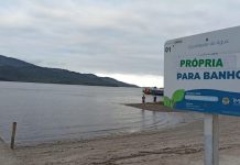 Praia do Vigorelli, em Joinville, se mantém própria para banho durante todo o ano
