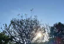 Sol e tempo firme: saiba como fica a previsão em Joinville nesta terça-feira