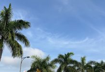 Saiba como fica a previsão do tempo em Joinville nesta quarta-feira