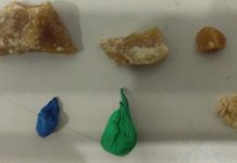 Adolescente de 14 anos e casal são detidos por tráfico de drogas em Joinville