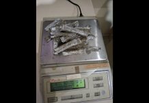 Com tornozeleira eletrônica, jovem de 19 anos é preso por tráfico de drogas em Joinville