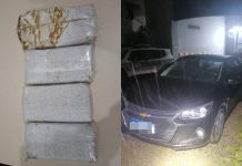 Grupo é preso por tráfico de drogas após perseguição da PM na BR-101, em Joinville