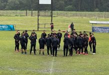 Elenco e busca por treinador: saiba como JEC se prepara para disputa da Copa SC