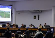 Consórcio da Ponte Joinville garante que obra não afetou a fauna