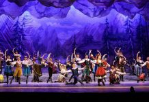 Saiba quem são os vencedores das premiações especiais do Festival de Dança de Joinville