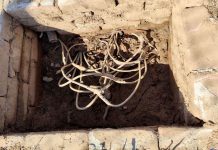 Furto de fiação no Parque da Cidade, em Joinville, causa prejuízo de mais de R$ 120 mil