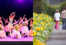 Festival de Dança, Festival dos Girassóis e mais: veja o que fazer em Joinville neste fim de semana