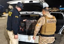 Mais de 130 quilos de maconha que seriam entregues em Joinville são apreendidos na BR-101