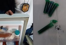 Polícia Civil cumpre mandado de busca após morte de cão por envenenamento em Joinville