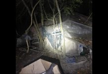 Corpo de homem em situação de rua é encontrado em área de mata, em Mafra