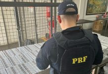 VÍDEO – Cerca de 4 mil maços de cigarros contrabandeados são apreendidos em ônibus que faz linha entre Joinville e Florianópolis
