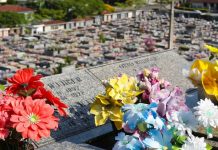 Câmara de Joinville fará audiência sobre proibição de restos de rituais religiosos em locais públicos