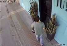 VÍDEO – Entregador viraliza após esconder entrega atrás de Espadas de São Jorge em Blumenau: “recebido por vaso”