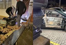 Saiba atualização de estado de saúde de motociclista atingido por motorista embriagada em Joinville