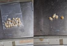 Mulher é presa após ser encontrada com pedras de crack na boca em Joinville