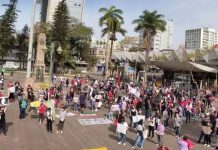 Grupos organizam protesto em Joinville contra PEC da Blindagem e projeto de anistia