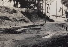 Origens de Joinville: a história da cidade contada pelos seus muitos povos