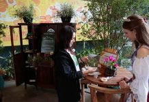 Festival Catarinense de Aves destaca o potencial de Joinville na observação e atrai especialistas na área