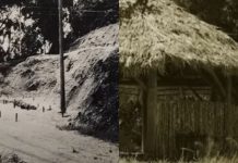 E-book Origens de Joinville revela a história da cidade além da colonização germânica