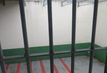 Homem estupra cão em Apiúna e é preso em flagrante; animal fica ferido