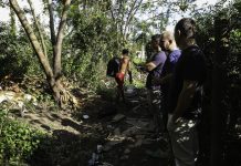 Câmara busca alternativas para terreno baldio que virou ponto de tráfico e prostituição em Joinville