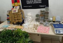Polícia encontra depósito de drogas com estufas, dinheiro e arma dentro de casa, em Joinville