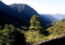 Entenda por que a Prefeitura de Joinville é contra a criação de uma nova área de conservação na região do Quiriri