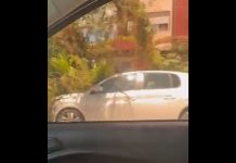 Ventos fortes provocam quedas de árvores e interdição do Mirante, em Joinville