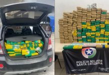 Casal é preso com mais de 200 kg de maconha dentro de carro, em Joinville